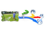 Quảng bá sản phẩm qua website - hướng phát triển của người sản xuất nông nghiệp thành phố Hồ Chí Minh
