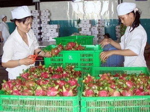 THỊ TRƯỜNG NGA, EU – VẪN CÒN NHIỀU CƠ HỘI CHO NÔNG SẢN VIỆT NAM