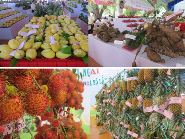 Kết quả Hội thi Trái ngon – An toàn Nam bộ lần 7, năm 2015