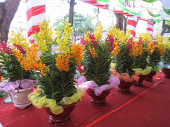 KHU TRƯNG BÀY VÀ TIÊU THỤ SẢN PHẨM SINH VẬT CẢNH TP.HCM TRONG CHỢ HOA TẾT NGUYÊN ĐÁN GIÁP NGỌ - 2014 TẠI CÔNG VIÊN 23/9