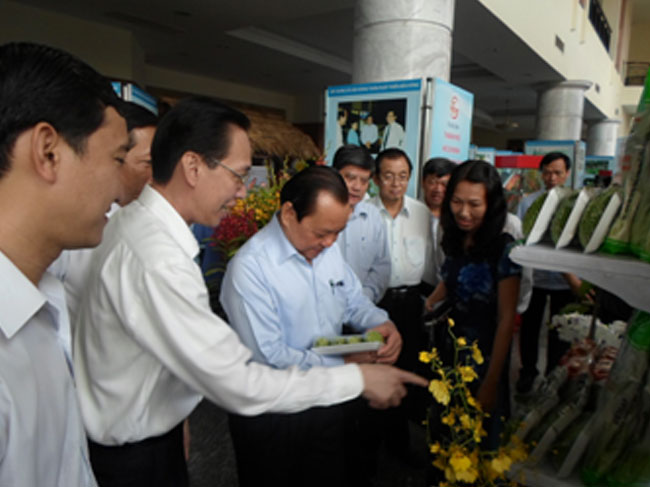 THÀNH PHỐ HỒ CHÍ MINH: SƠ KẾT 2 NĂM THỰC HIỆN PHONG TRÀO THI ĐUA 