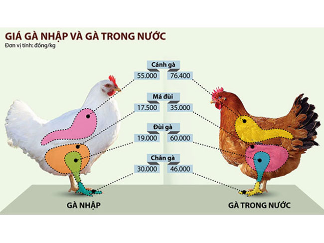 Gà Việt khủng hoảng với đùi gà Mỹ rẻ như rau