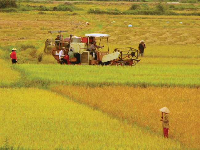 LÀM GIÀU TỪ NÔNG NGHIỆP