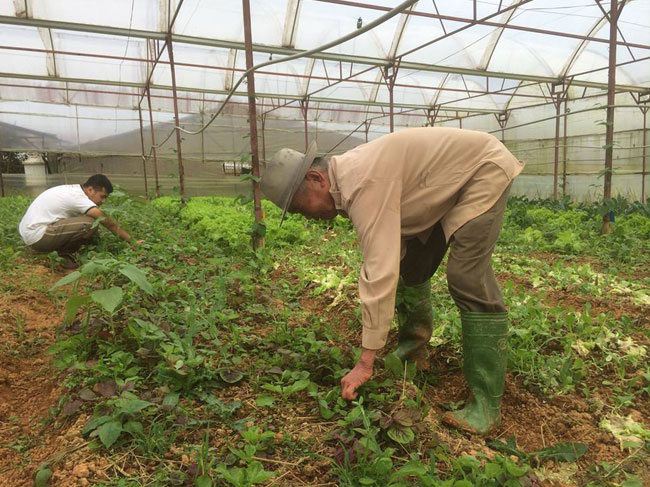 Chương trình chiếu phim – tọa đàm “Nông dân sinh thái: mắt xích cho một xã hội lành mạnh”