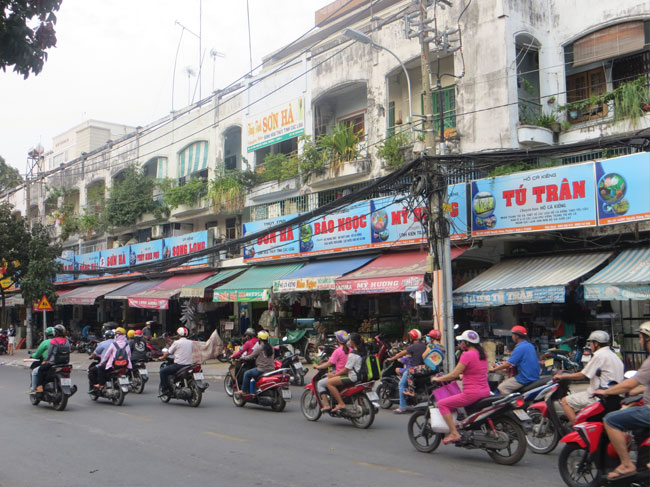 Phát triển thị trường cá cảnh thành phố Hồ Chí Minh