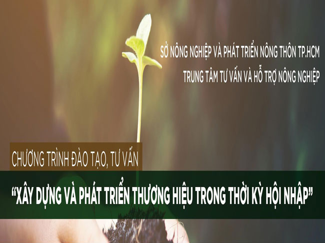 Chương trình đào tạo, tư vấn “Xây dựng và Phát triển thương hiệu trong thời kỳ hội nhập”