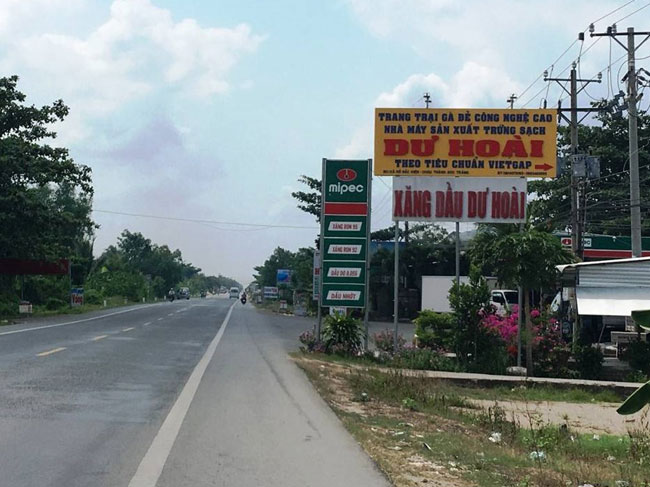 Trang trại gà đẻ trứng công nghệ cao - Công ty Dư Hoài