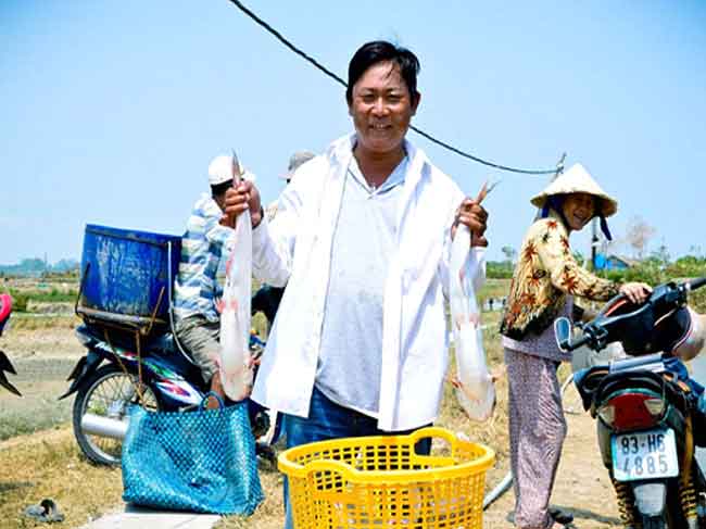 Bí quyết làm giàu: Nuôi cá dứa không lo đầu ra