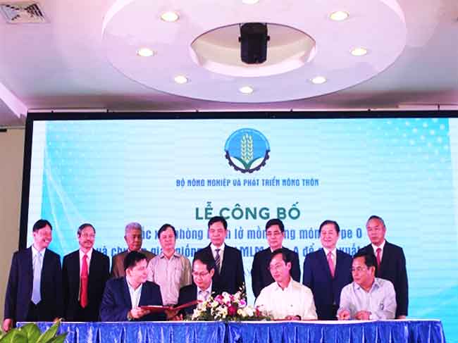 Công bố sản xuất thành công vacxin lở mồm long móng tại Việt Nam