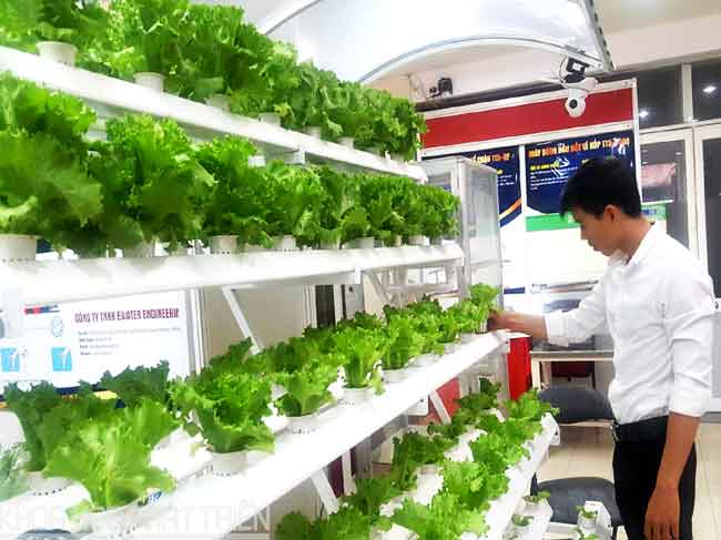 CESTI: gắn kết nghiên cứu ứng dụng lĩnh vực chế biến rau củ quả