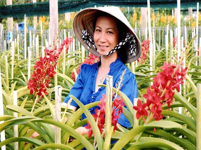 Năm 2019, TP.HCM đẩy mạnh phát triển kinh tế tập thể, hợp tác xã nông nghiệp