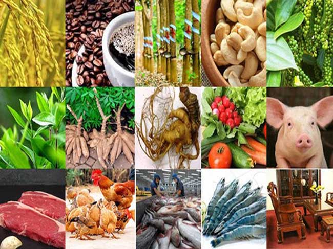 Yêu cầu ổn định giá thịt lợn từ nay đến Tết Nguyên đán Canh Tí 2020