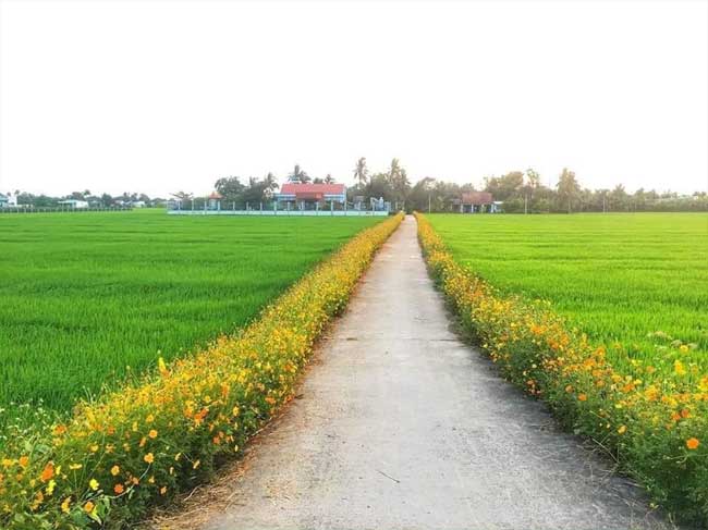 Nông thôn mới cần cách tiếp cận mới