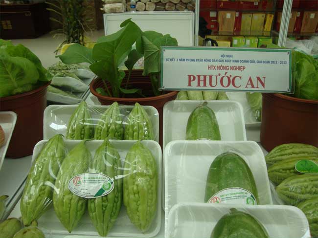 Nhìn lại kết quả từ việc tư vấn và hỗ trợ các HTX nông nghiệp trên địa bàn thành phố