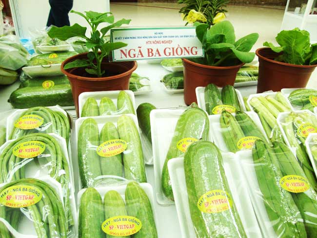 Đẩy mạnh hoạt động truy xuất nguồn gốc rau củ quả VietGAP trong năm 2020