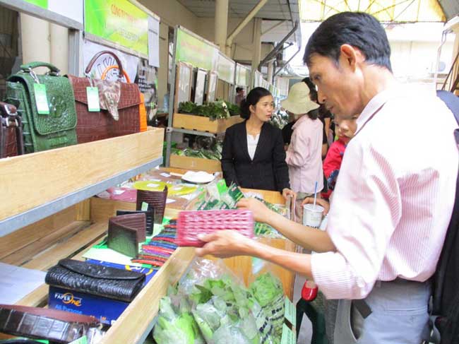 Cá sấu rớt giá, chỉ còn 50.000 đồng/kg vẫn không ai mua