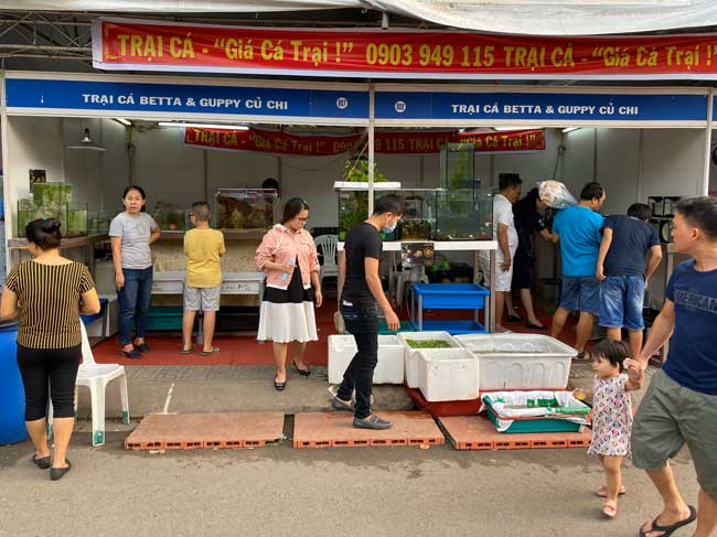 TP.HCM: Giá trị sản xuất lĩnh vực thủy sản 6 tháng đầu năm 2020 tăng 5,01% so cùng kỳ
