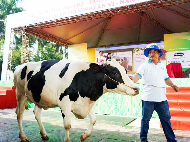 Hội thảo “Giải pháp phòng trị tổng hợp cho bệnh chân móng trên bò sữa nuôi tại nông hộ”