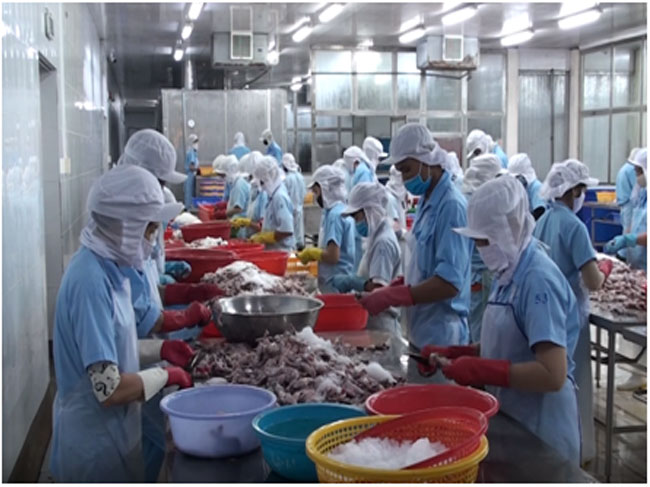 Hiệp định EVFTA, thời cơ và thách thức