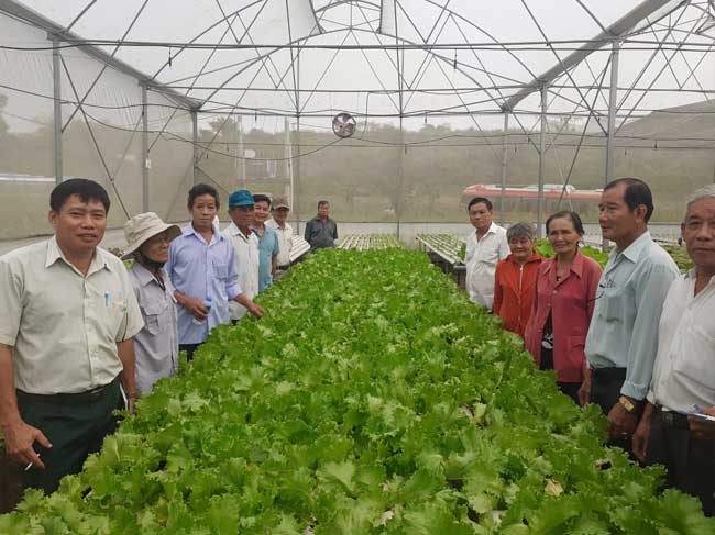 Kết quả tổ chức đưa đoàn nông dân tham quan học tập mô hình xúc tiến thương mại đạt hiệu quả tại các xã Nông thôn mới trên địa bàn Thành phố