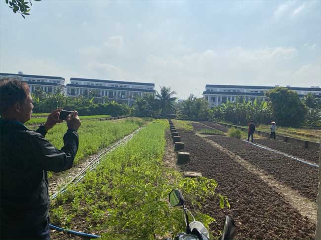 Công tác hỗ trợ đánh giá chứng nhận VietGAP cho Hợp tác xã Phước An và mô hình trồng dừa tại huyện Bình Chánh